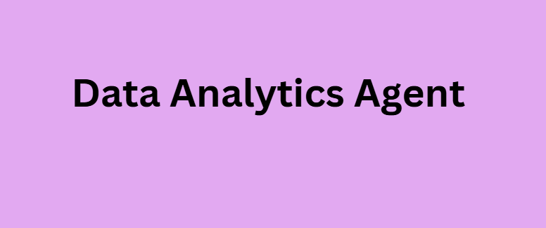  Data Analytics Agent