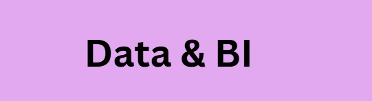  Data & BI