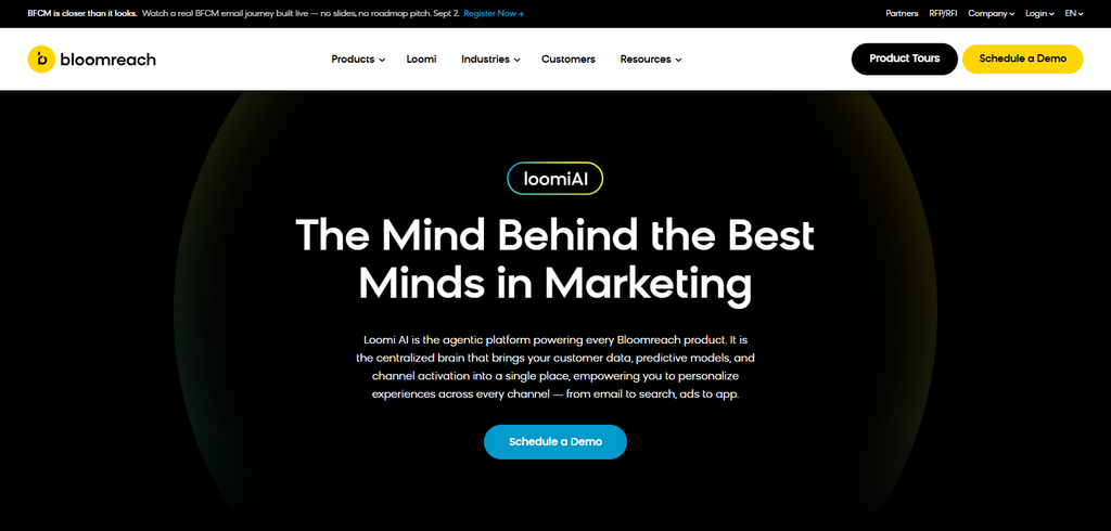 Bloomreach Loomi