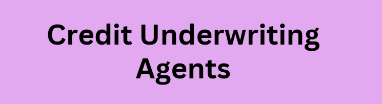 Credit Underwriting Agents